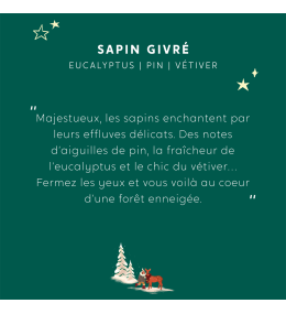 Bougie Sapin Givré parfum de Noël, My Jolie Candle