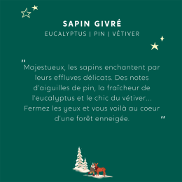 Coffret parfumé La Forêt Enchantée my jolie candle sapin Givré