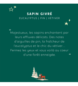 Coffret parfumé La Forêt Enchantée my jolie candle sapin Givré