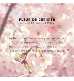 Bougie bijou My Jolie Candle Fleur de Cerisier. Bracelet