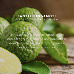 Bougie bijou Santal Bergamote avec bracelet doré