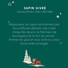 Bougie bijou My Jolie Candle Sapin Givré 320162