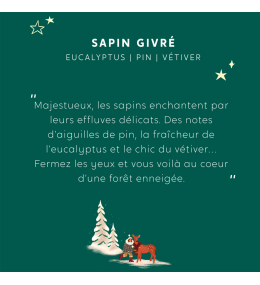 Bougie bijou My Jolie Candle Sapin Givré 320162