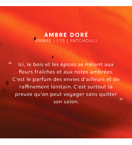 Bougie parfumée My Jolie Candle Ambre Doré 320307