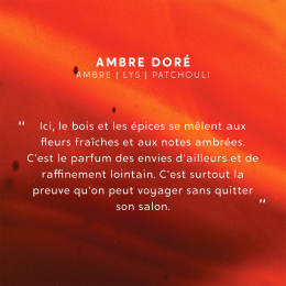 Bougie parfumée My Jolie Candle Ambre Doré 320342