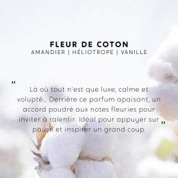Bougie Fleur de Coton, Cire végétale My Jolie Candle