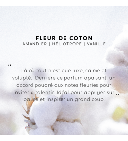 Bougie Fleur de Coton, Cire végétale My Jolie Candle