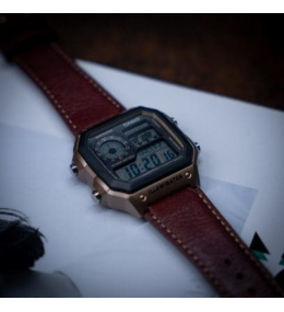 Casio AE-1200WHL-5AVEF Montre Homme World Time