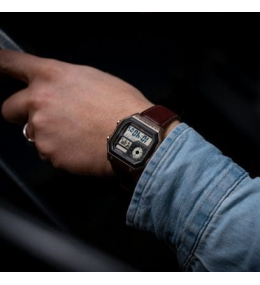 Casio AE-1200WHL-5AVEF Montre Homme World Time