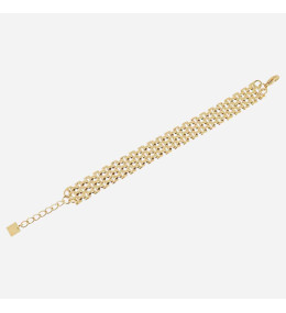 Bracelet Nate en acier PVD jaune, mailles grain de riz ZAG bijoux, SBM26708-01UNI