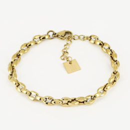 Bracelet Zeppeli en acier PVD jaune ZAG bijoux, SBS13915-01UNI