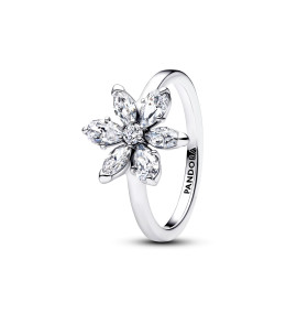 Bague Pandora herbier blanc scintillant en argent 925/1000, 193000C02