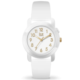 Montre ICE WATCH, ICE FIND WHITE GOLD, S 34 MM 024916