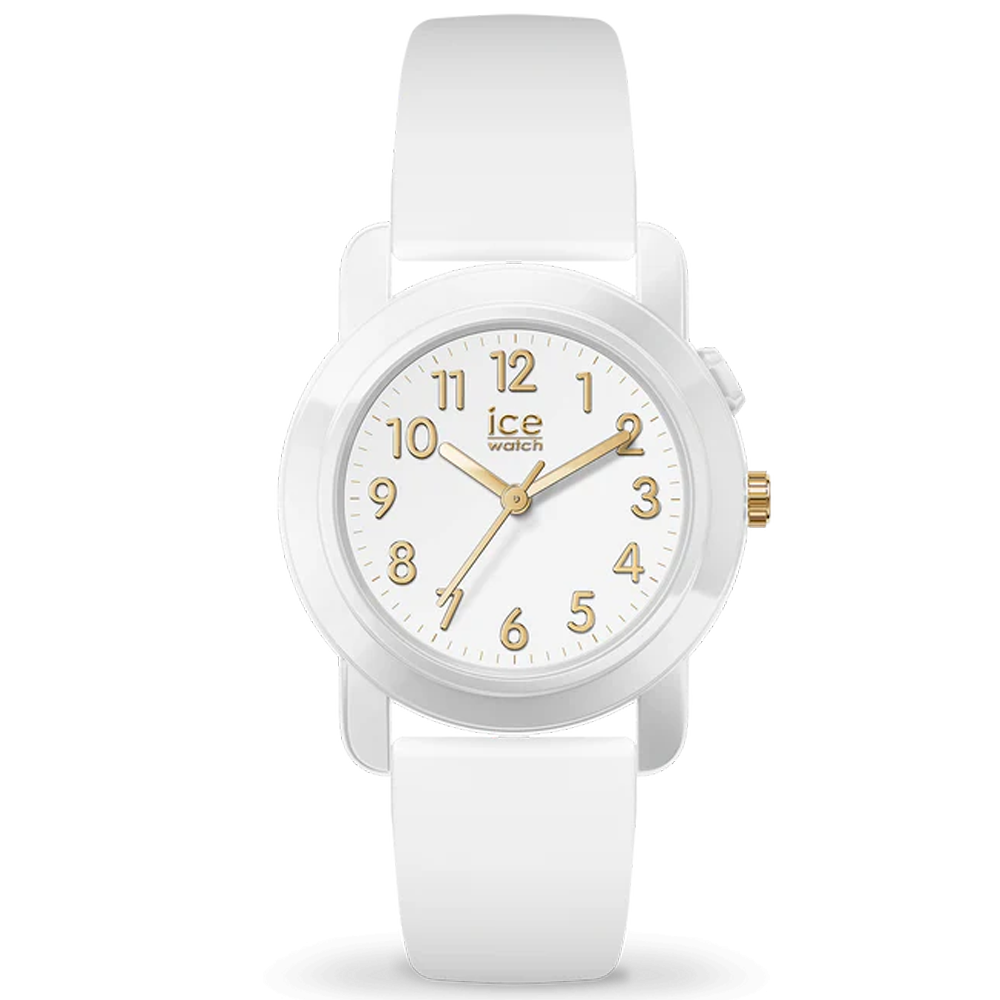Montre ICE WATCH, ICE FIND WHITE GOLD, S 34 MM 024916