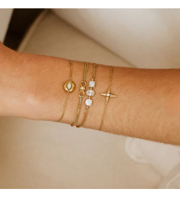 Bracelet Pardu Zirconiums Acier Doré ZAG Bijoux - SBS27691-01WHT