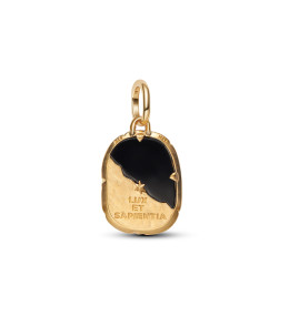 Charm Médaillon Pandora Chouette Or 14K (764805C01)