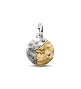 Charm Médaillon Pandora Zodiaque Verseau Bicolore (764990C01)
