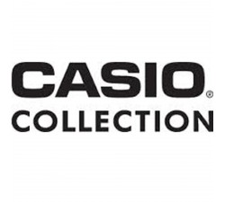 Montre CASIO COLLECTION LW-203-4AVEF
