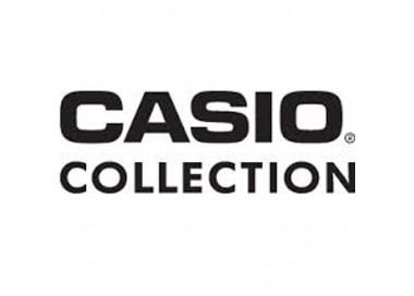 Montre CASIO COLLECTION LW-203-4AVEF