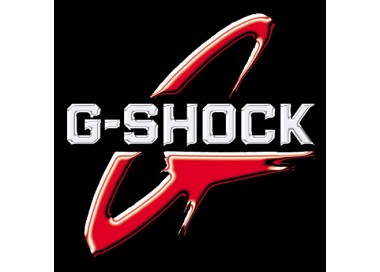 Montre CASIO G-SHOCK DW-5600E-1VER