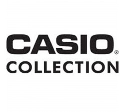 Montre CASIO COLLECTION LW-203-2AVEF