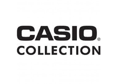 Montre CASIO COLLECTION LW-203-2AVEF
