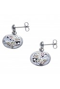 Boucles d'oreilles pendantes acier, nacre et émail, Indien, ODENA - IC 580