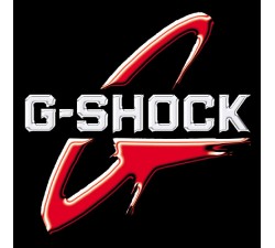 Montre CASIO G-SHOCK GA-2100-1A1ER