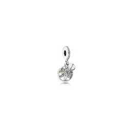 Charms - Bijoux - PANDORA - 791728CZ