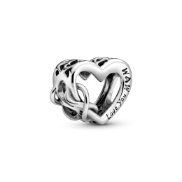 Charms - Bijoux - PANDORA -  798825C00