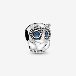 Charms - Bijoux - PANDORA - 798397NBCB