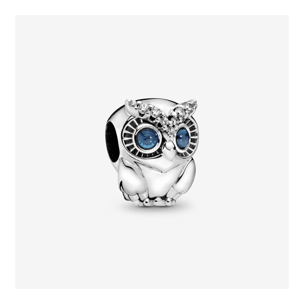 Charms - Bijoux - PANDORA - 798397NBCB