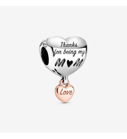 Charms - Bijoux - PANDORA - 788830C00