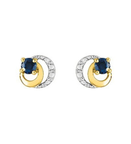 Les Boucles d'oreilles or bicolore 750/1000 et saphirs bleus taille brillant by Stauffer