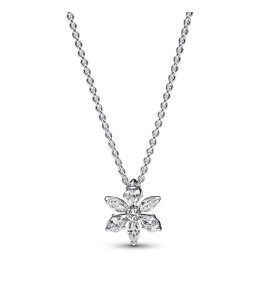 Le Collier Pendentif Pandora, Herbier Scintillant, en argent 925/1000, 392387C01-45