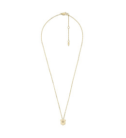 Le Collier Fossil, Shield Heritage Essentials en acier inoxydable, doré, JF04351710
