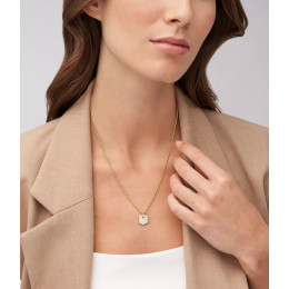 Le Collier Femme FOSSIL, Héritage crest, en acier et nacre, JF04529710