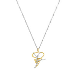 Le Collier Jourdan Bijoux, Noua, argent 925/1000 bicolore, AJF210080N