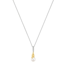 Le Collier Jourdan Bijoux, Luna, argent 925/1000 bicolore, AJF170177N