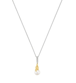 Le Collier Jourdan Bijoux, Luna, argent 925/1000 bicolore, AJF170177N