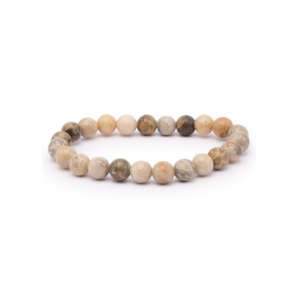 Bracelet pierres naturelles 8 mm corail fossile AB