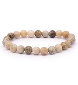 Bracelet pierres naturelles 8 mm corail fossile AB